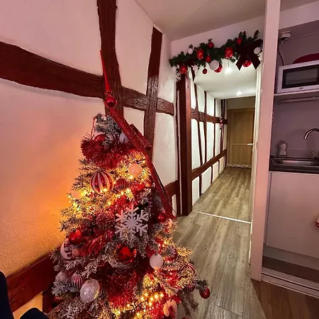 Le Cocon Du Vieux Appartement Colmar