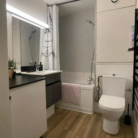 公寓 Le Cocon Du Vieux - Design Et Cosy - Hypercentre 科尔马