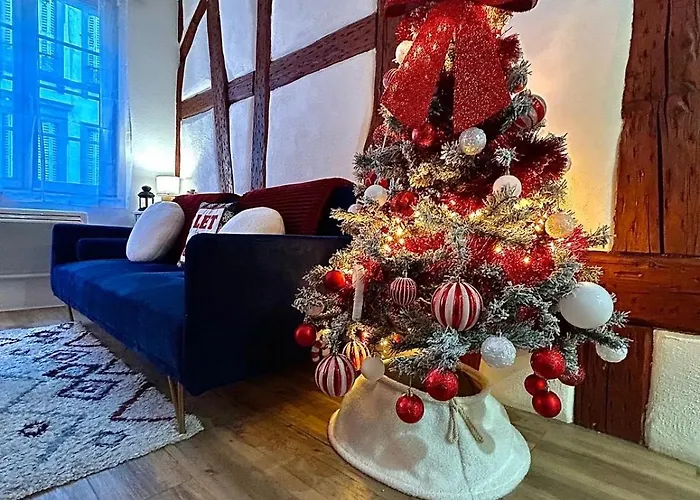 Le Cocon Du Vieux Apartman Colmar