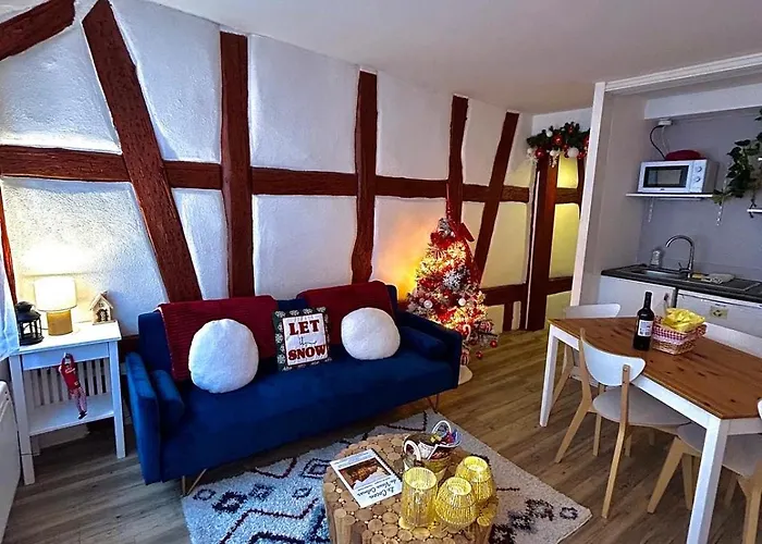 Apartman Le Cocon Du Vieux