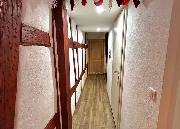 Le Cocon Du Vieux * Colmar