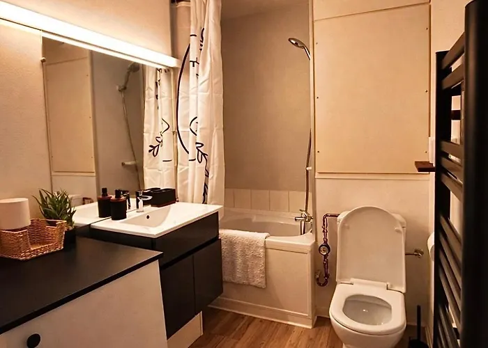 Le Cocon Du Vieux Apartman *