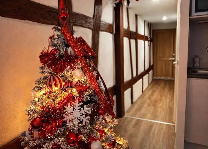 Le Cocon Du Vieux Colmar