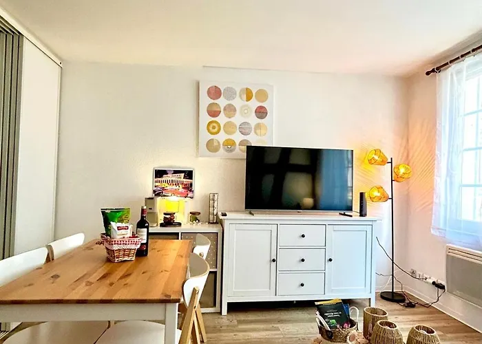 Le Cocon Du Vieux - Design Et Cosy - Hypercentre 公寓 *