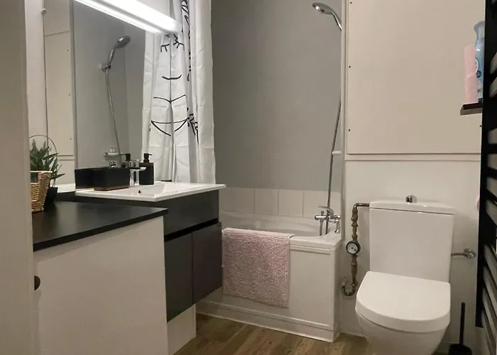 公寓 Le Cocon Du Vieux - Design Et Cosy - Hypercentre 科尔马